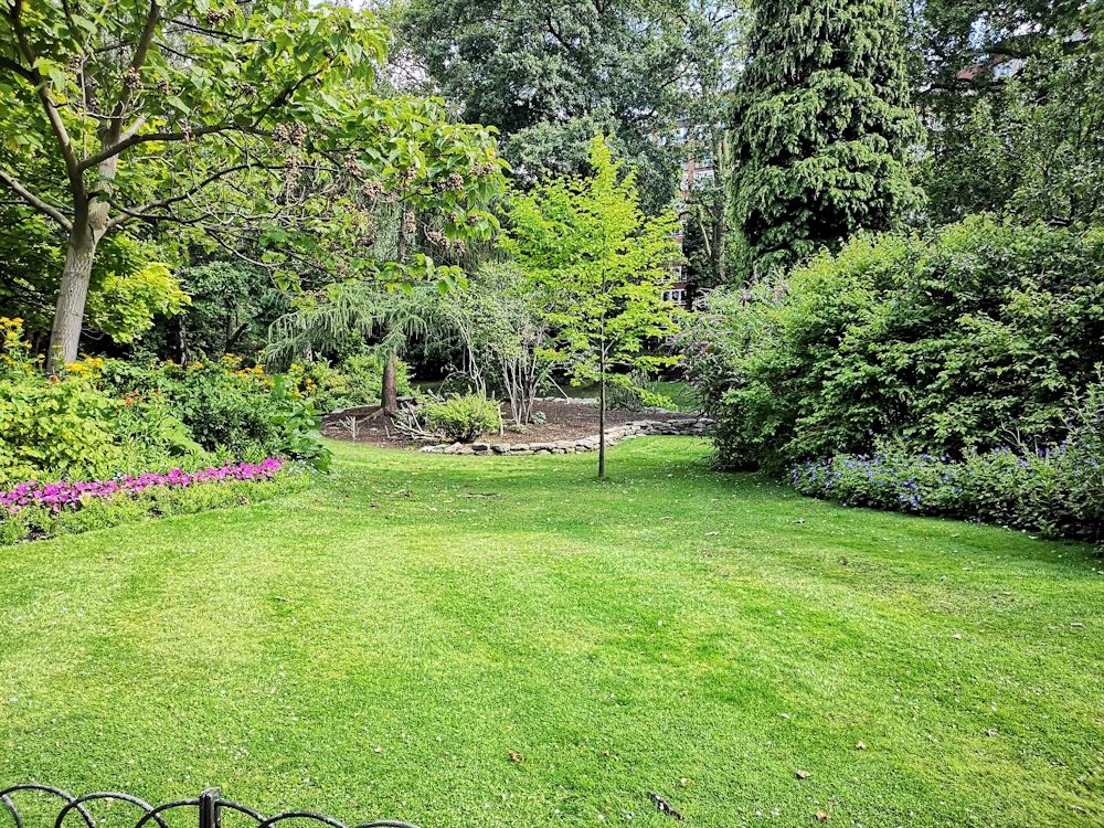 Your ultimate guide to lawn sanding: Everything you need to know for a perfect lawn