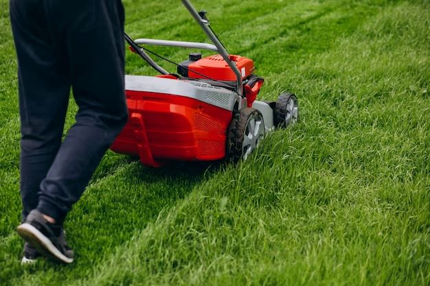 Green dream: The ultimate guide to lawn care in spring